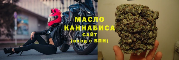 эйфоретик Вяземский