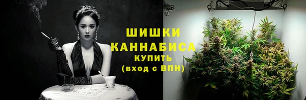 эйфоретик Вяземский
