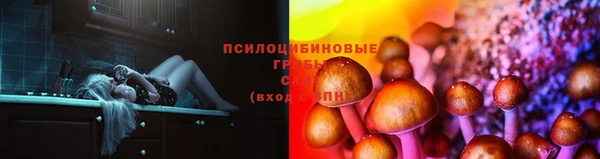 гашик Вязники